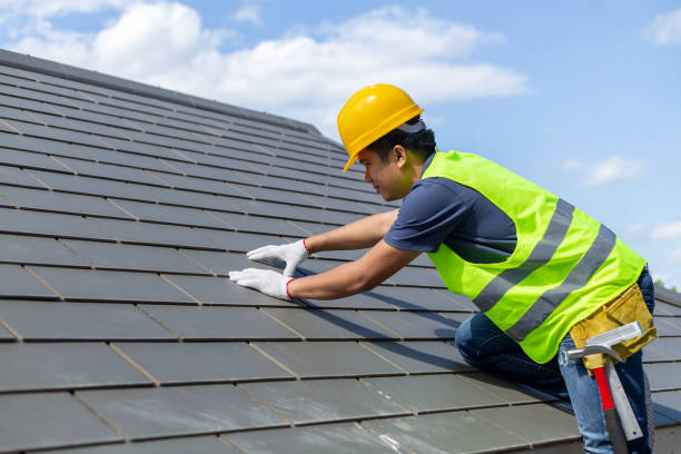 Best Metal Roofing Contractor  in Presidio, TX