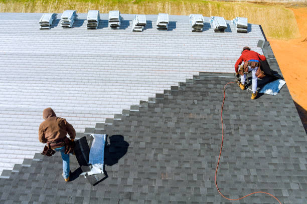 Best Storm Damage Roof Repair  in Presidio, TX