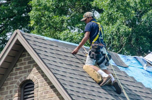 Gutter Installation and Roofing in Presidio, TX